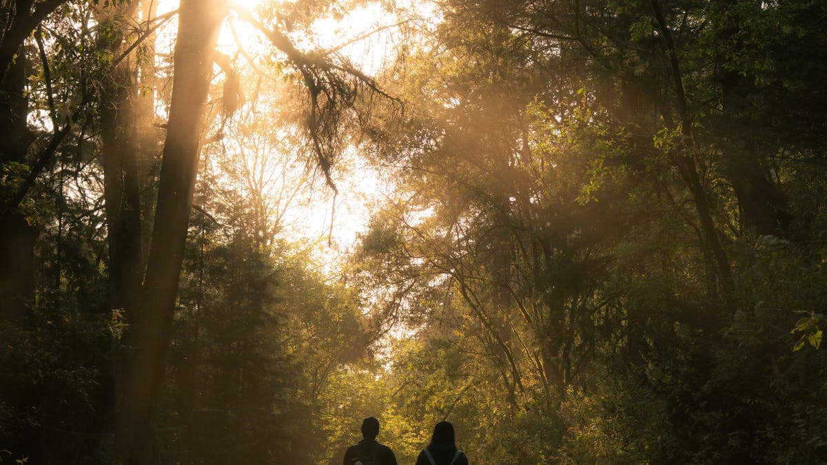 Romantic couple walking hand in hand through a sunlit forest trail in Central Florida